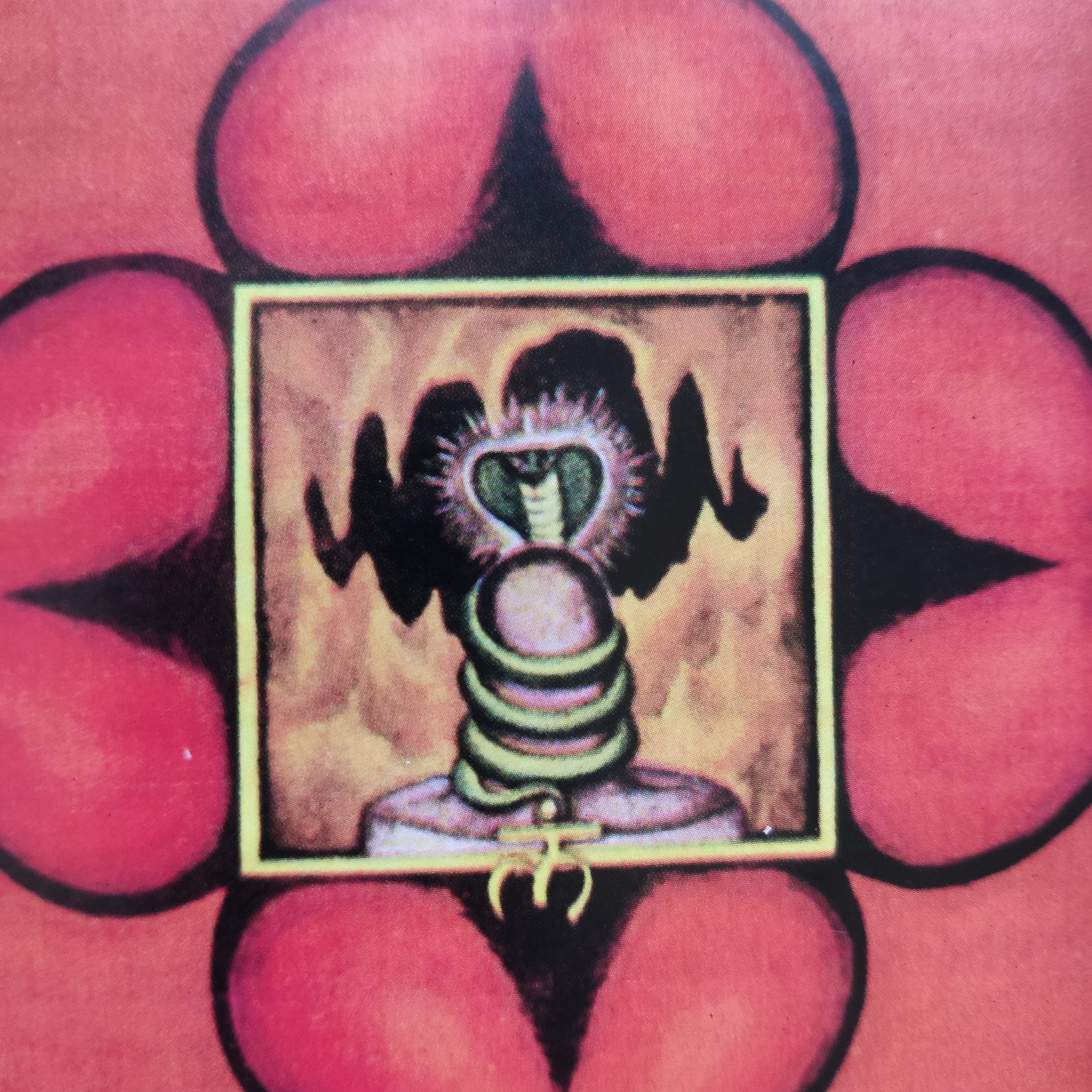 Vamos a por mooladhara o despertar la posibilidad de la realización en la persona