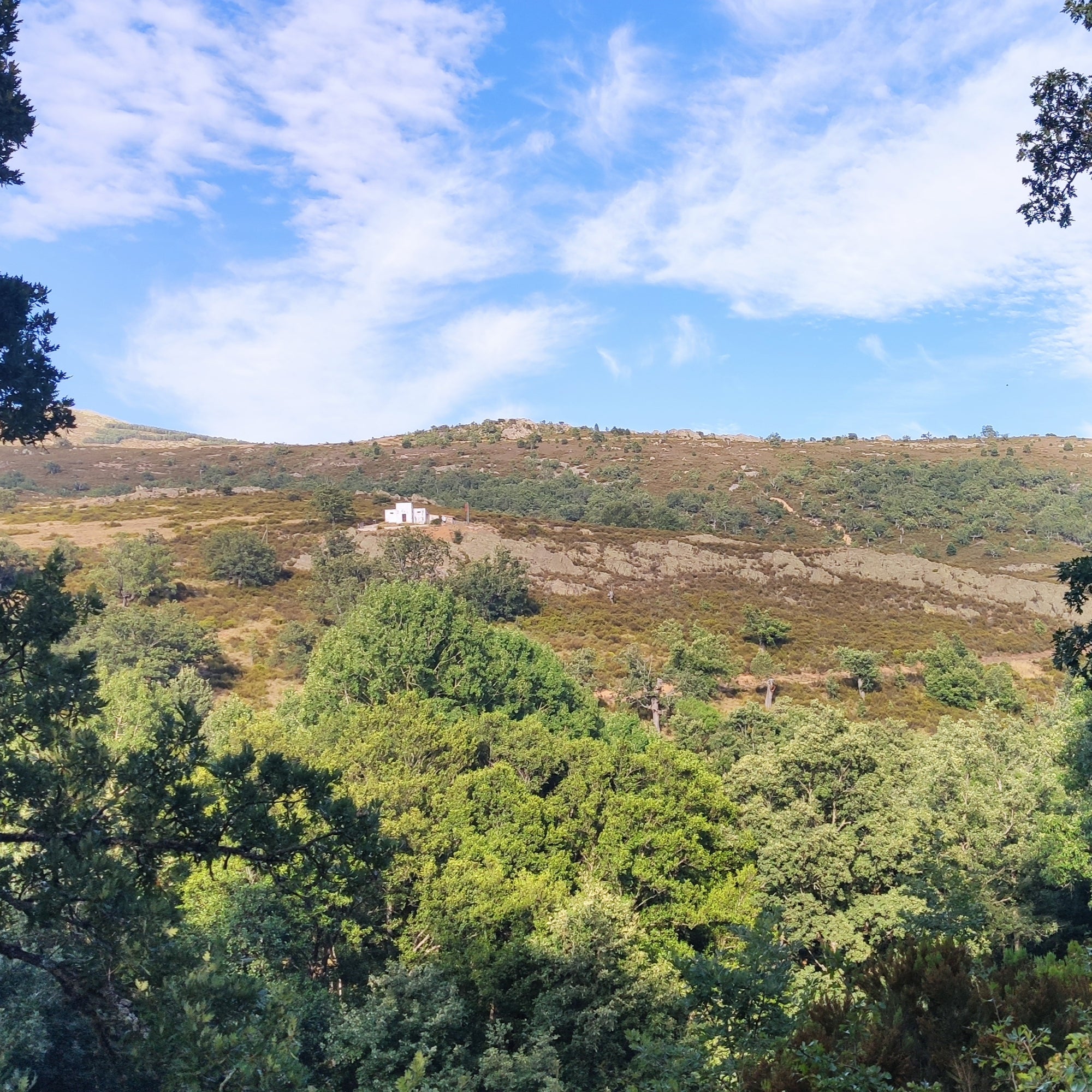 Aprende a hacer el pranayama recomendado por el maestro Maharshi para antes de meditar